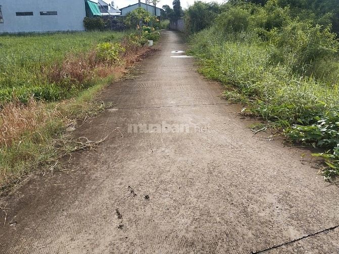 Bán gấp 877,9m2 đất ở MT Trần Văn Ngà, xã An Vĩnh Ngãi, TP.Tân An