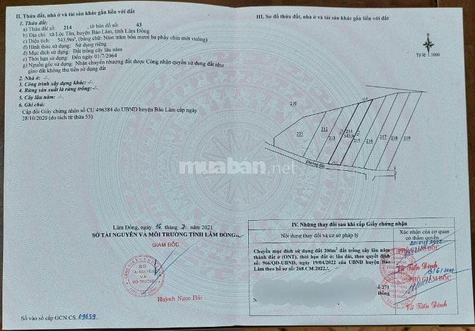 BÁN GẤP! LÔ ĐẤT 540M² CÓ THỔ CƯ – MẶT TIỀN ĐƯỜNG CHÍNH HỒ NGỌC