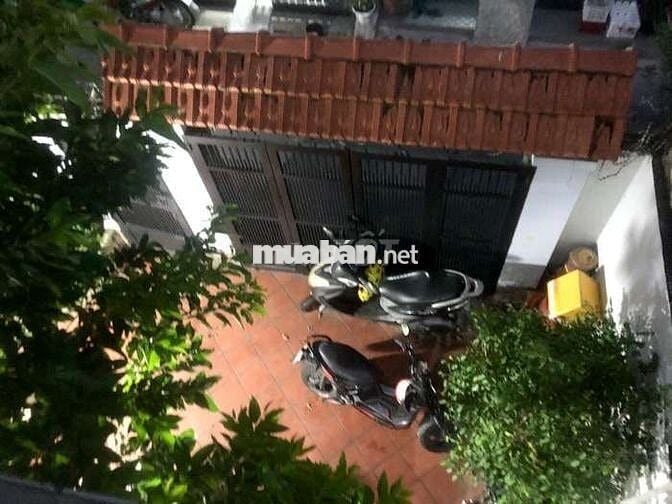 BIỆT THỰ MINI 123m² - SÂN VƯỜN RỘNG – KHÓ TÌM Ở GÒ VẤP