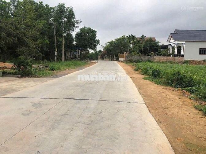 🔥 BÁN 4500M² ĐẤT THỔ CƯ – BÁM ĐƯỜNG Ô TÔ TRÁNH – VỊ TRÍ ĐẸP HIẾM! 🔥