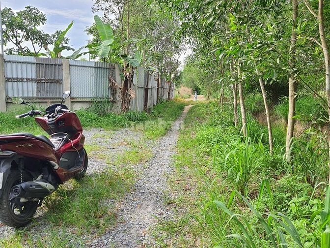 Chủ cần bán lô đất ở phủ hồng vuông vức 26mx52m đường ô tô giá rẻ