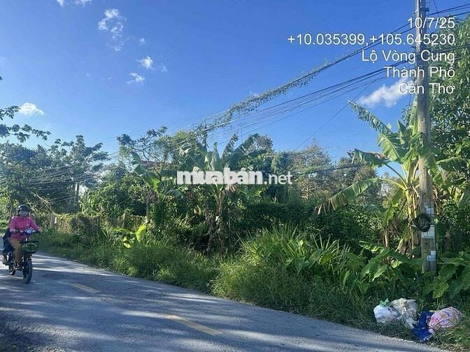 NH thanh lý giá cực tốt, MT đường nhựa, Tân Thới, Phong Điền, Cần Thơ