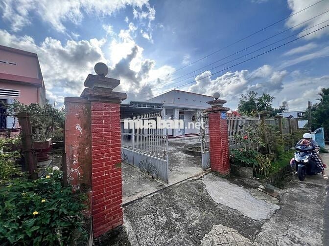 Nhà Mặt Tiền Giá *** Tp. Bảo Lộc -  Tô Hiệu 12m thuận tiện KD