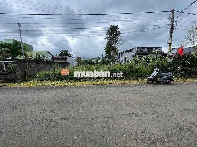 Đất Bảo Lộc 704m2 - 15mx47m - Thổ cư 158m đường nhựa lớn 2 oto né nhau