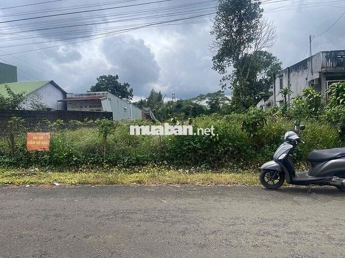 Đất Bảo Lộc 704m2 - 15mx47m - Thổ cư 158m đường nhựa lớn 2 oto né nhau