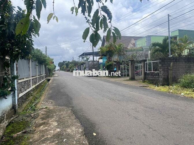 Đất Bảo Lộc 704m2 - 15mx47m - Thổ cư 158m đường nhựa lớn 2 oto né nhau