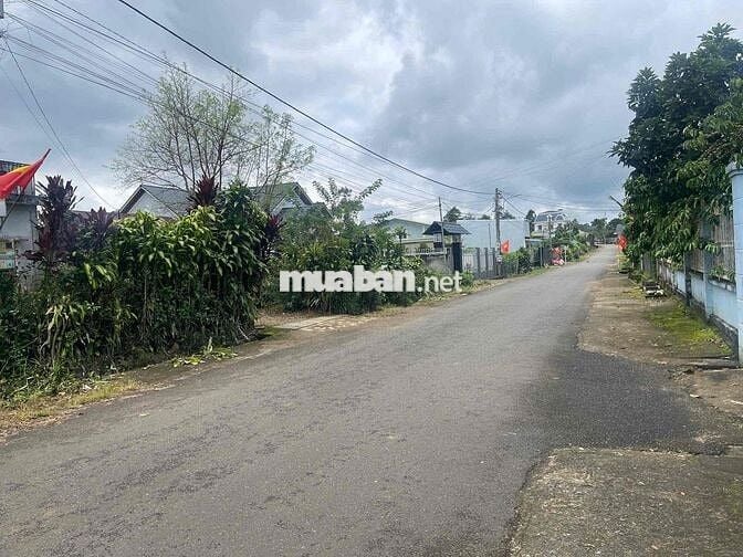 Đất Bảo Lộc 704m2 - 15mx47m - Thổ cư 158m đường nhựa lớn 2 oto né nhau