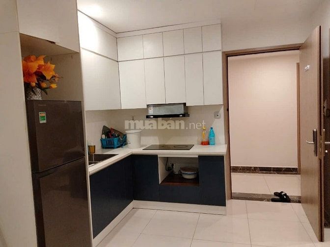 Bán căn 1n+1 tòa S1.02 VinhomesOceanPark1 48m2 đồ cơ bản giá 3,25 tỷ