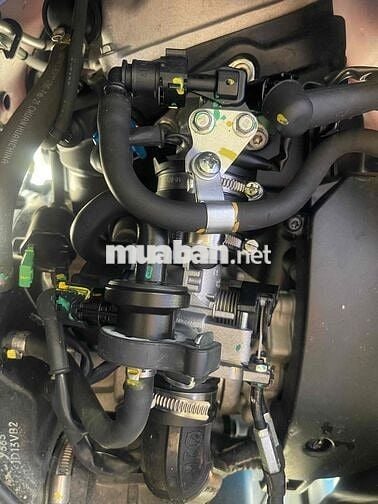 cửa hàng cần bán veba Sprint biển Sài Gòn chinh ch