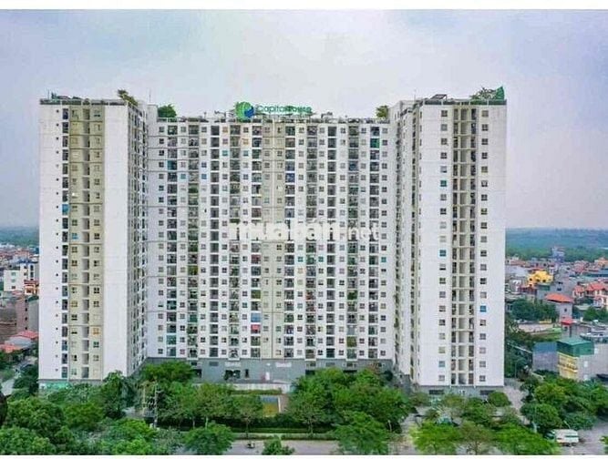 Bán chung cư 𝐄𝐜𝐨𝐡𝐨𝐦𝐞 𝐏𝐡𝐮́𝐜 𝐋𝐨̛̣i 72m2 siêu thoáng đẹp giá nhỉnh 4,5 tỷ