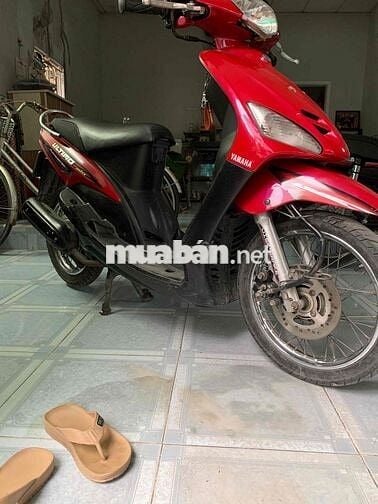 mio thái bán hoac gl