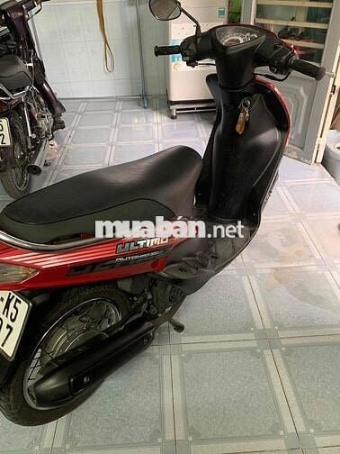 mio thái bán hoac gl