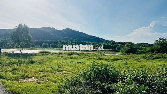 🌄 SIÊU PHẨM ĐẤT TT PHƯỚC HẢI – VIEW NÚI MINH ĐẠM – ĐỐI DIỆN HỒ CỰC ĐẸ