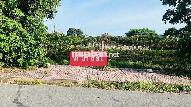 🌄 SIÊU PHẨM ĐẤT TT PHƯỚC HẢI – VIEW NÚI MINH ĐẠM – ĐỐI DIỆN HỒ CỰC ĐẸ