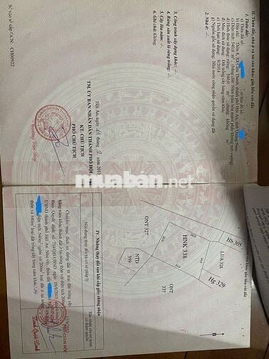 đất tại đường Rừng Dừa Bảy Mẫu, Phường Cẩm Thanh, Hội An