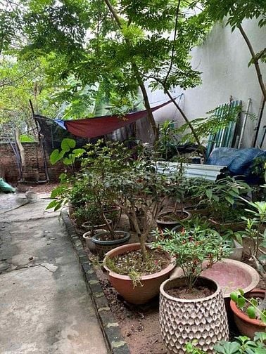 📣Bán💥 103M² ĐẤT mặt tiền 8.4m giá 22 tỷ, ngõ Lạc Long Quân, Cầu Giấy