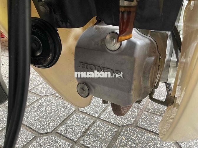 bán super dream zin