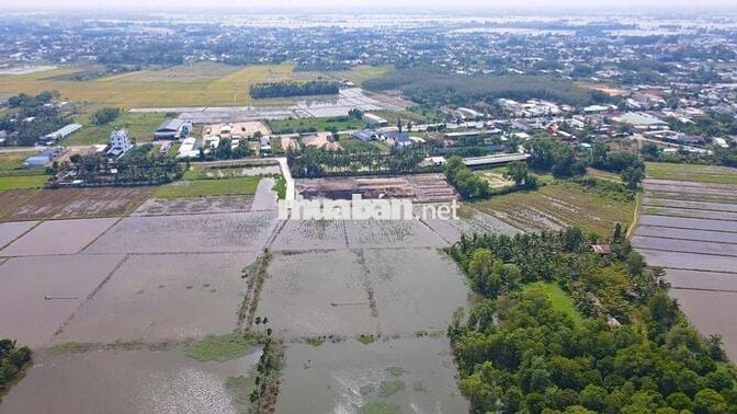 Đất vườn 1000m2 có sẵn 100m2 TC ngay TT Gò Dầu, TN, SHR, giá 1,2 tỷ