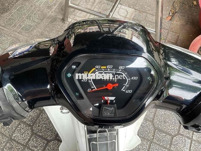 bán super dream zin