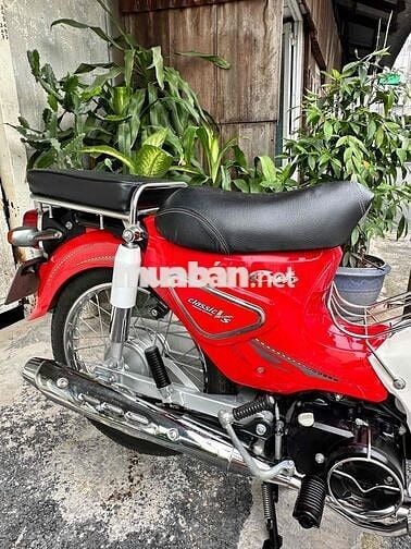 super cup 50cc ViệtThai đk 2021 Bstinh 88 gthop lệ