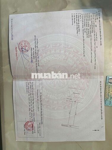 Đất đẹp mặt tiền đường 7m5 sát biển mân thái Sơn trà  giá chỉ 11 tỷ 6