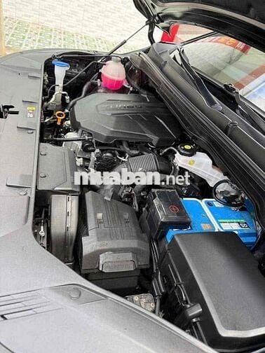 carnival 2.2D signature 2024 như moi