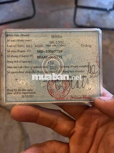 cần bán sh nhập ý bstp chính chủ