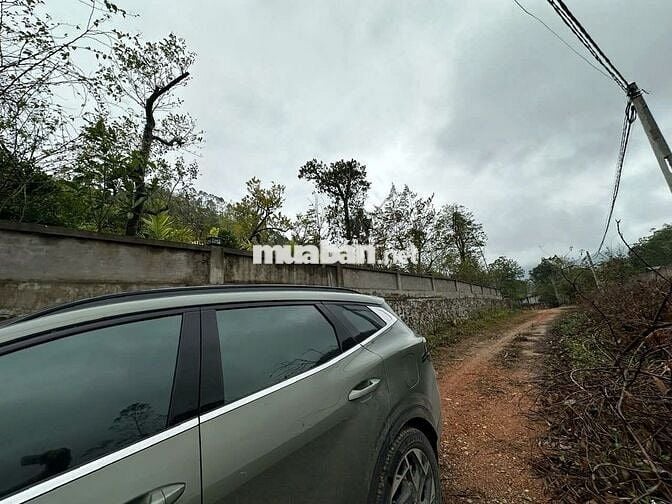 Đất rừng nở hậu,diện tích thực lớn hơn sổ,pháp lý sổ đỏ làm farmstay