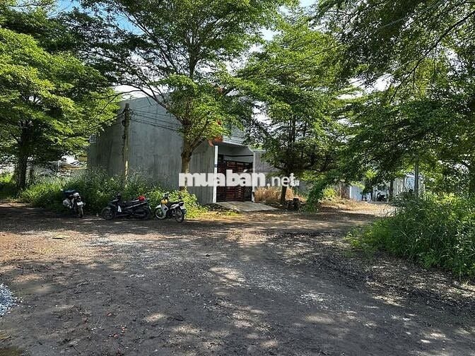 Đất Nền Chợ Rạch Kiến- Long An Chiết Khấu 100 triệu Trong Tháng 11