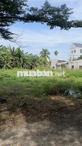 Đất Nền Chợ Rạch Kiến- Long An Chiết Khấu 100 triệu Trong Tháng 11