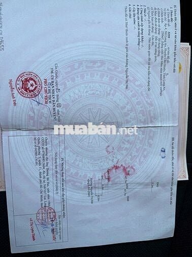 500 m2 đất thổ cư - mặt tiền đường lớn - cạnh dự án Vinhomes