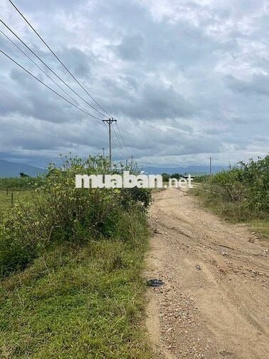 SIÊU PHẨM - ĐẤT ĐẸP – GIÁ TỐT– CC CẦN BÁN Đất Ngay Công An Xã Ninh Sơn