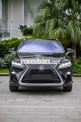 Lexus RX 300 2019