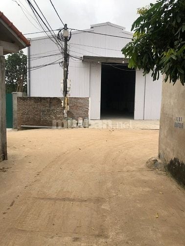 Cho thuê kho xưởng mới xây kiên cố 