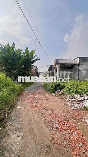 BÁN ĐẤCHỢ BÌNH CHÁNH-SỔ RIÊNG-HOÀN CÔNG-XÂY DỰNG TỰ DO-GIÁ 980TR CÓ TL