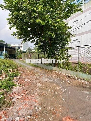 BÁN ĐẤCHỢ BÌNH CHÁNH-SỔ RIÊNG-HOÀN CÔNG-XÂY DỰNG TỰ DO-GIÁ 980TR CÓ TL