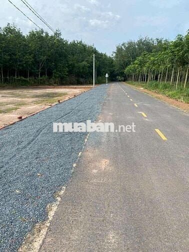 Chủ cần bán gấp lô đất 500m2(15*35) sẵn 300TC, chỉ 700tr sổ sẵn