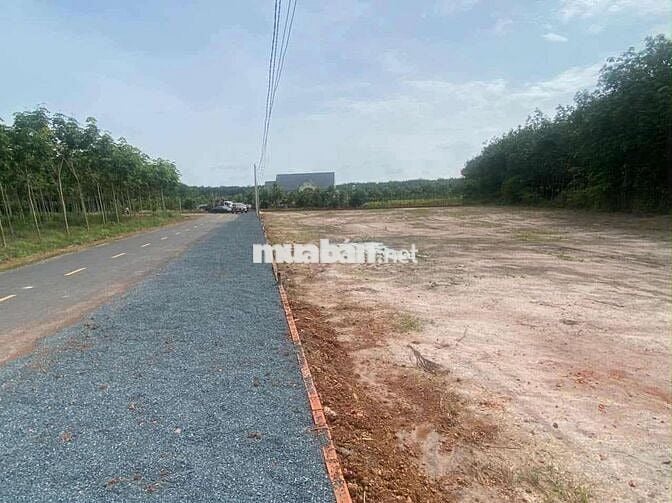 Chủ cần bán gấp lô đất 500m2(15*35) sẵn 300TC, chỉ 700tr sổ sẵn