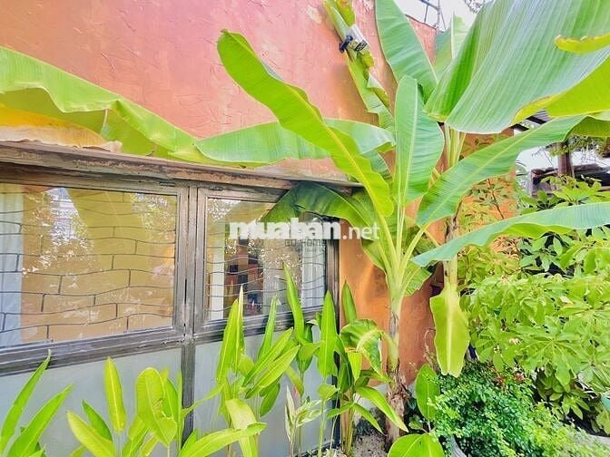 CHO THUÊ HOMESTAY 3 PHÒNG NGỦ SÂN VƯỜN ĐẸP GẦN BIỂN 15 TRIỆU/THÁNG