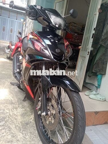 Bán exciter zin mọc dọn kiểng