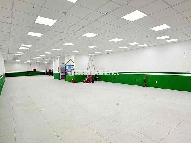 Cho thuê mặt tiền Hoa Mai Quận Phú Nhuận ngang 8m SD 320m2 2 tầng