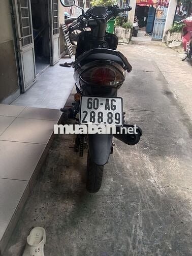 Bán exciter zin mọc dọn kiểng