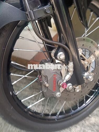 Bán exciter zin mọc dọn kiểng