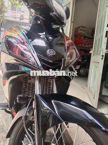 Bán exciter zin mọc dọn kiểng