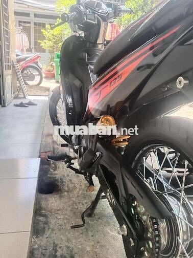 Bán exciter zin mọc dọn kiểng