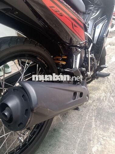 Bán exciter zin mọc dọn kiểng