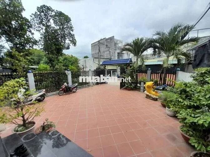 Ngộp bank 4 tỷ 5 – Giảm 1 tỷ 5, Biệt thự mái Thái 567m² giá chỉ 6 tỷ.