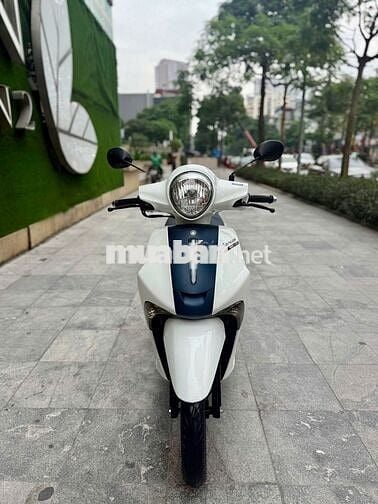 Janus 2021 bản limited