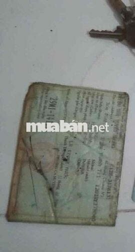 do cắm mai đến ngày ko. có khả. nằng lấy