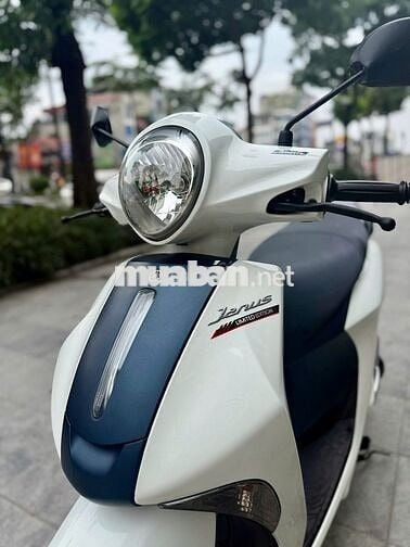 Janus 2021 bản limited